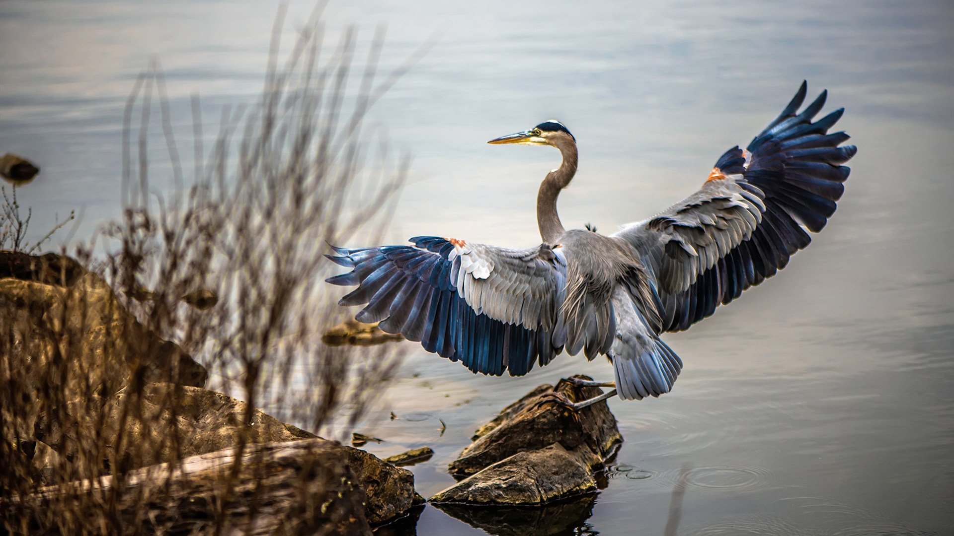 开云下载-LOL赛事中的观众互动：如何提升观赛体验，lol观战classic