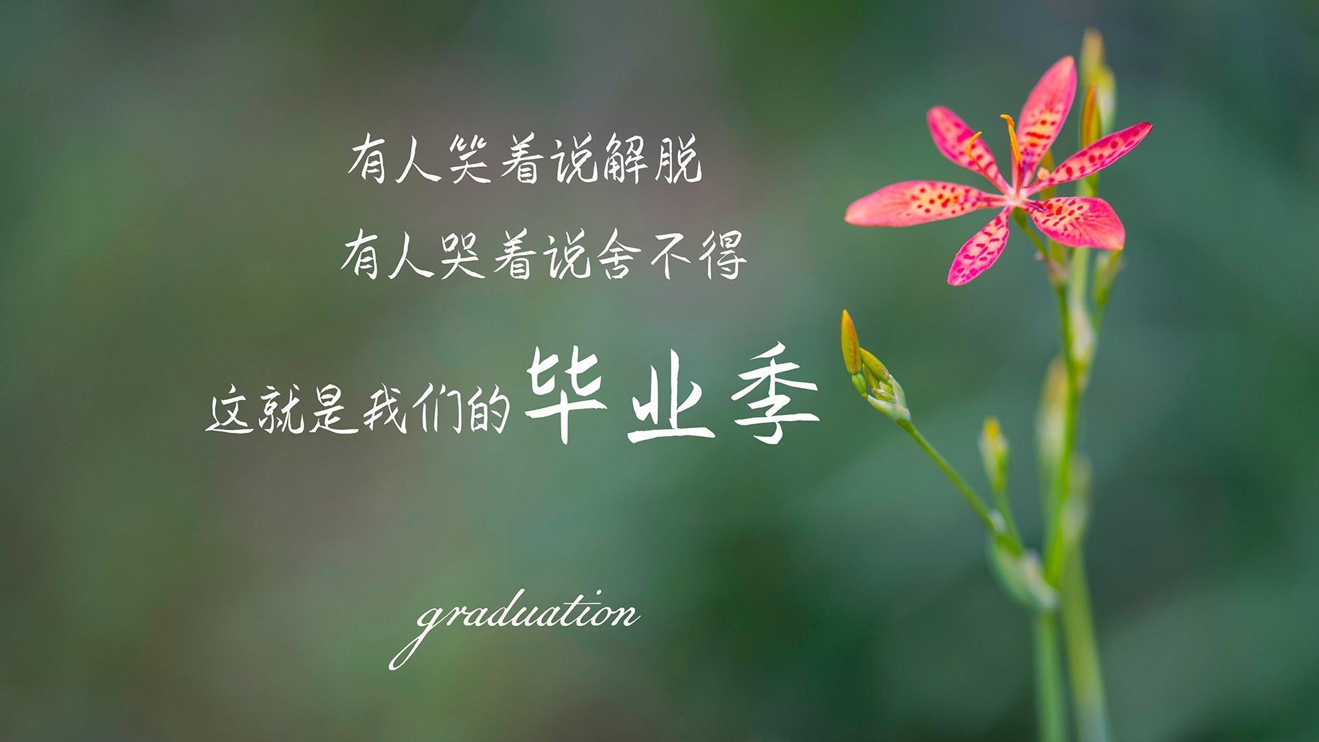 开云全站-_全民挑战：趣味赛、互动活动点燃热情_，crimaster全民挑战