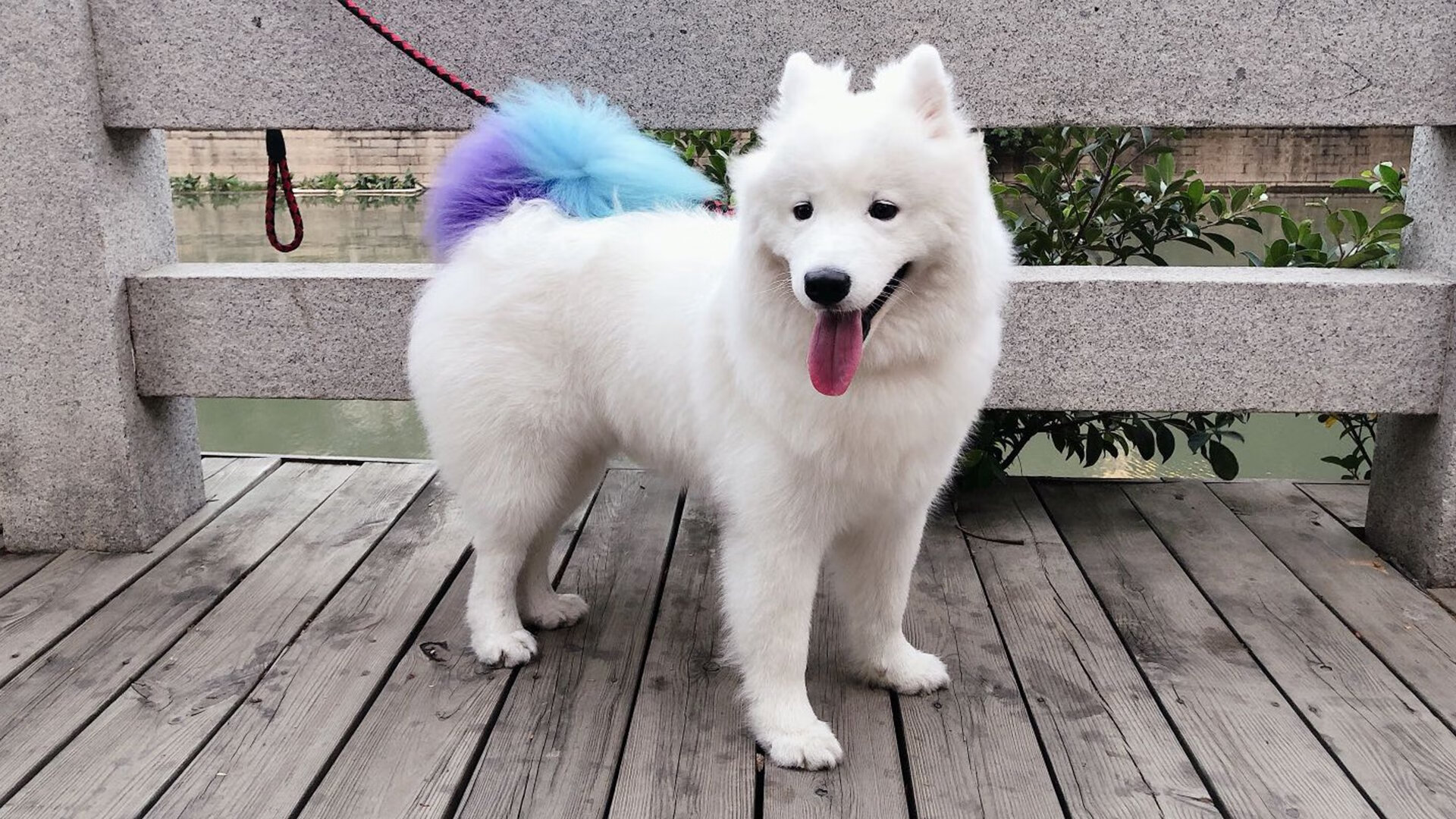 开云中国大陆-_全民运动日：每个人都可以参与的趣味赛_，全民做运动