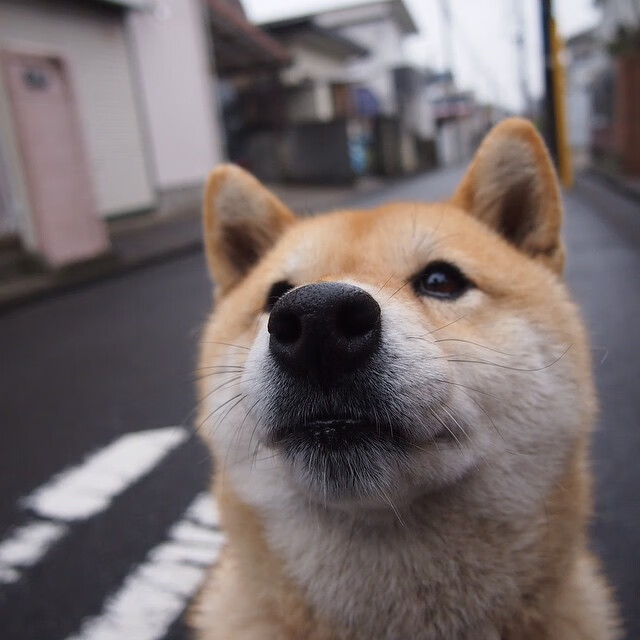 开云官方网站-_户外登山遗迹探寻：追访历史的足迹_，户外登山记录路径app