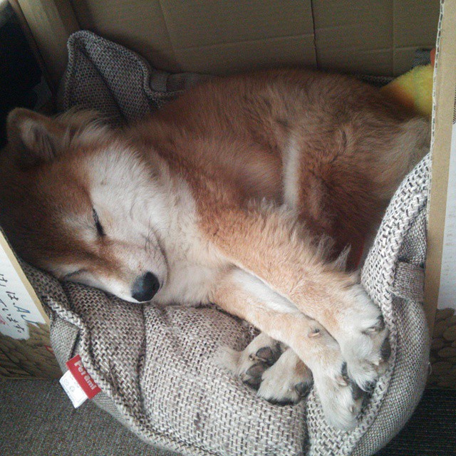 开云官方网页登录-“中国足球产业持续融合发展，市场潜力巨大”，中国足球产业发展报告