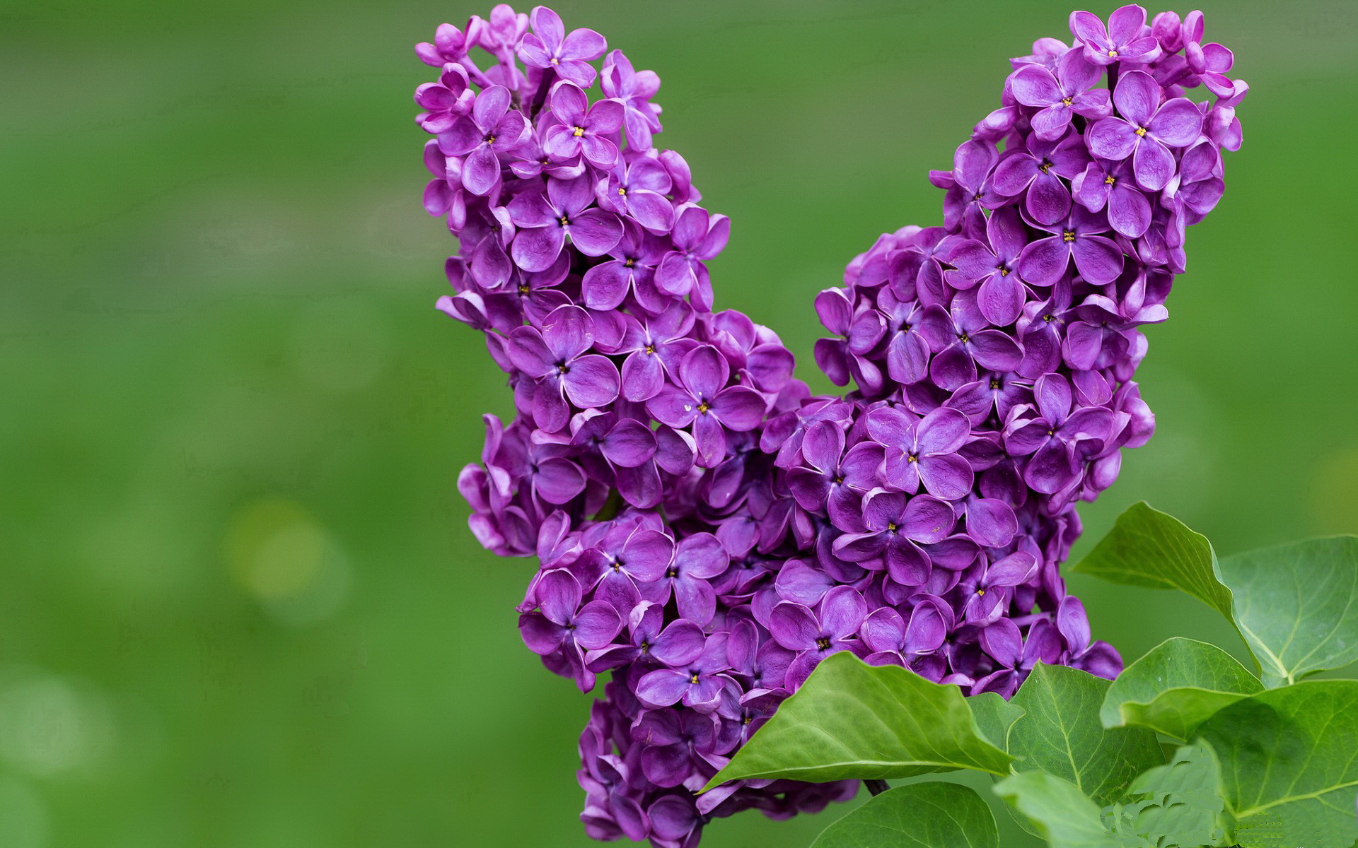 开云·体育全站登录地址-“西甲关键比赛：豪门争霸，场面火爆，战局胶着”，西甲豪门有哪些