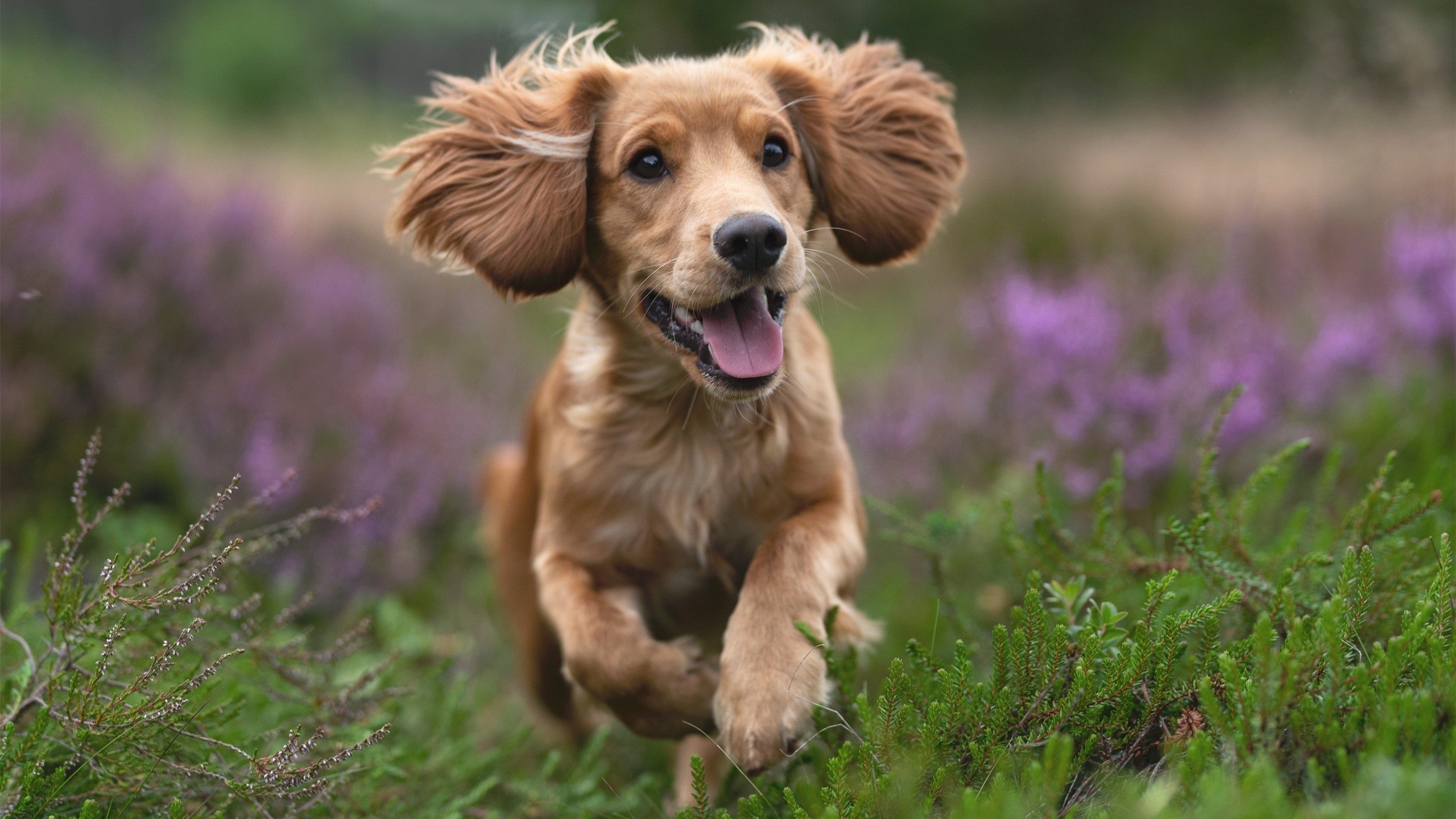 开云kaiyun-【赛事统计】关键数据解析与趋势预测，业务高手必修课_如何看懂关键数据