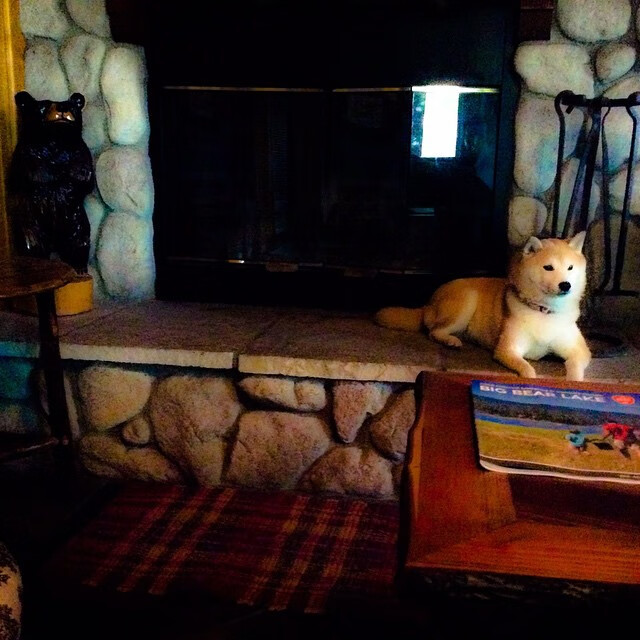 开云APP-传奇教练的“战术思想”深度解读：从战术大师到文化领袖，足球教练战术大师