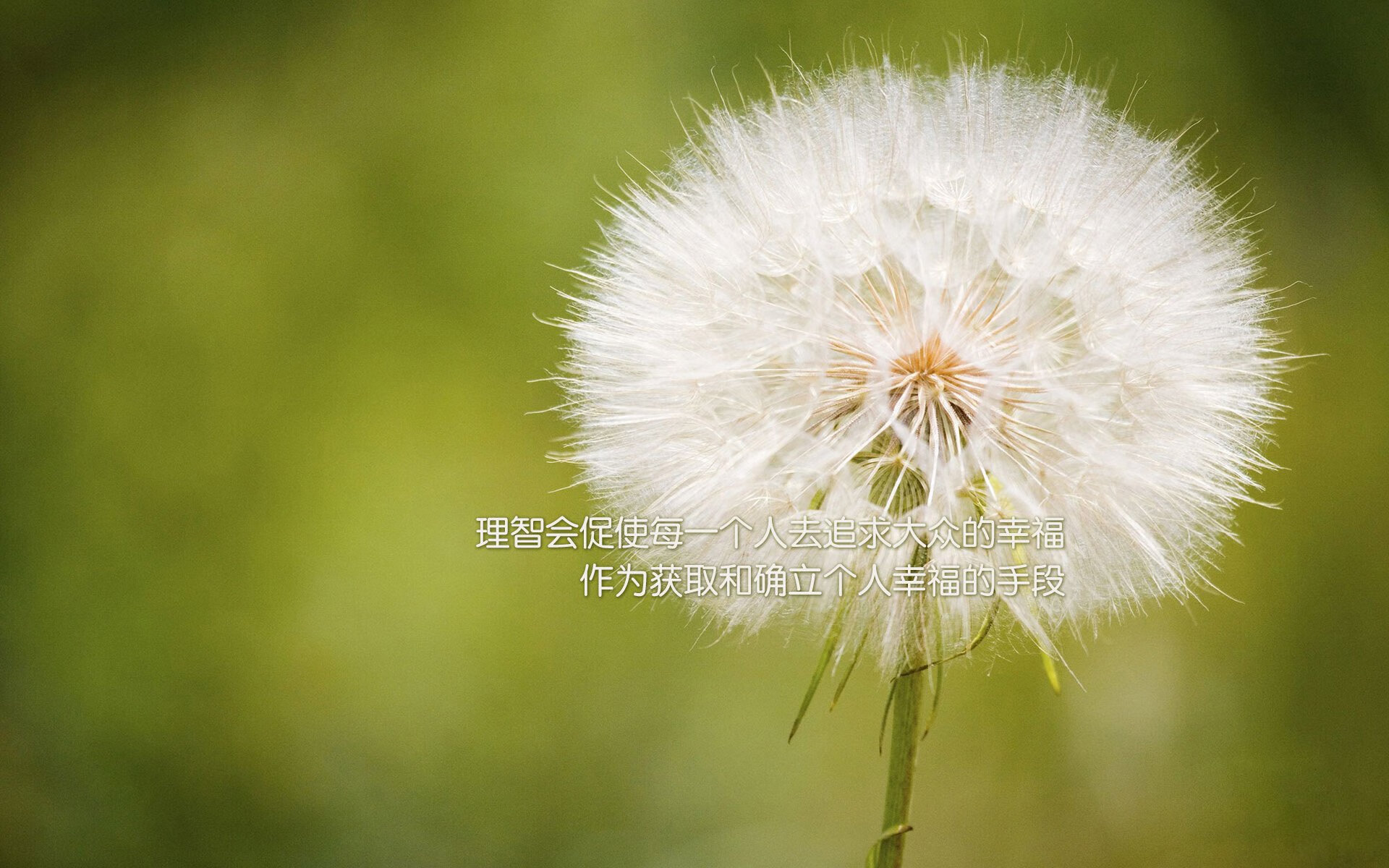 kaiyun.com-史上最“炸裂”的盖帽集锦，你最喜欢哪个球员？，盖帽集锦高清视频