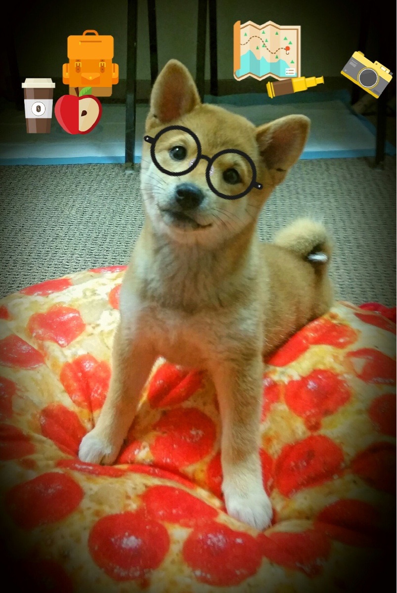 开云体育网页版入口-史上最“震撼”的单场得分纪录，谁能打破？，单场得分最高的球员排名