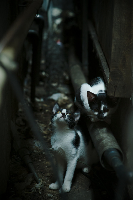 开云下载-中乙联赛发展是否存在瓶颈亟需突破，中乙联赛发展是否存在瓶颈亟需突破的问题