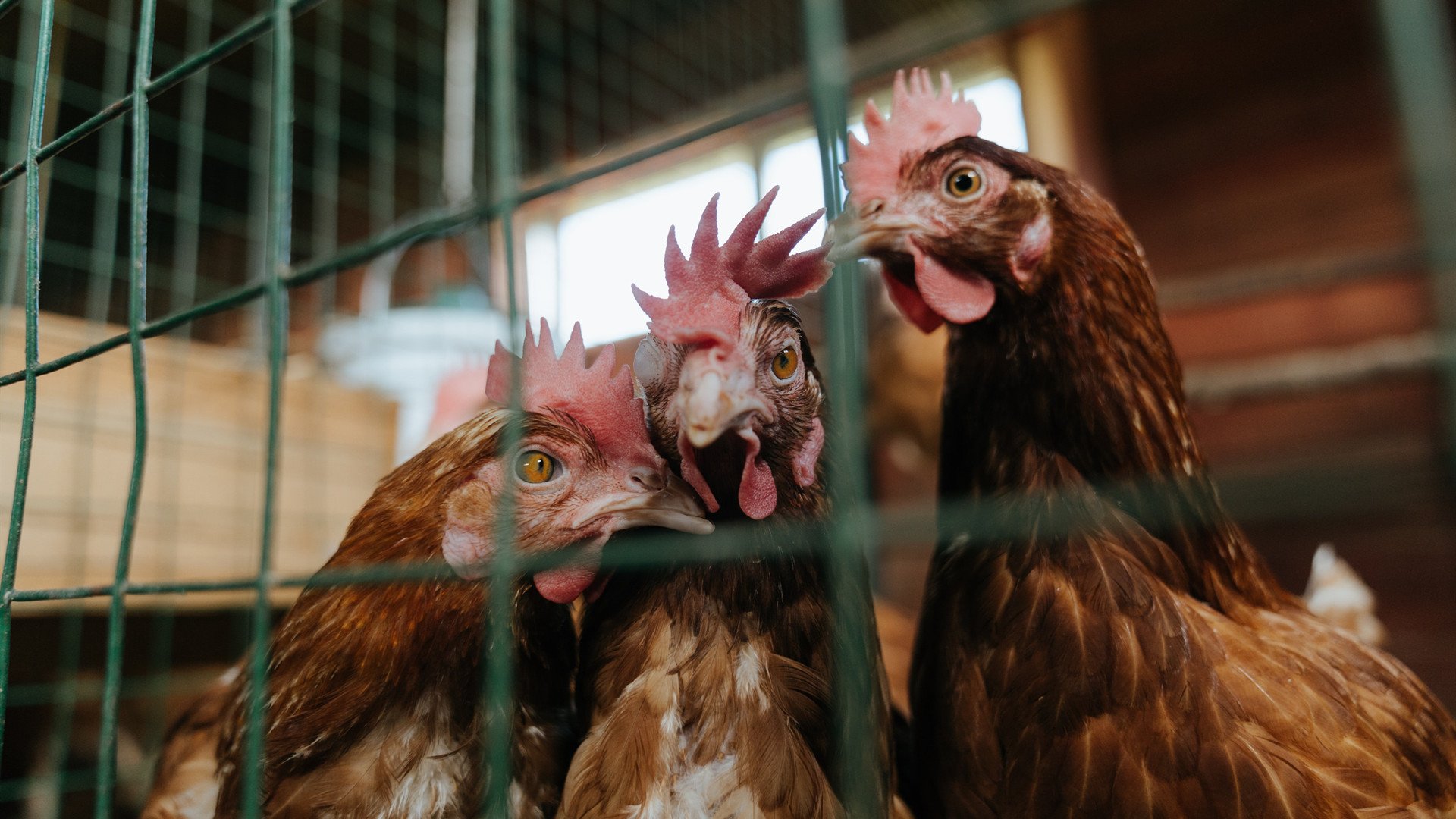 kaiyun.com-川崎前锋主帅谈战术调整，川崎前锋近况