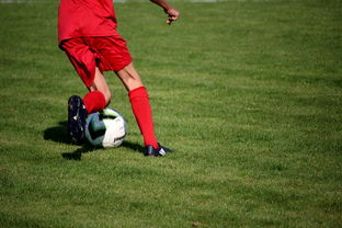 开云网页版登录入口-NBA球队青训体系建设与人才储备，nba青年队