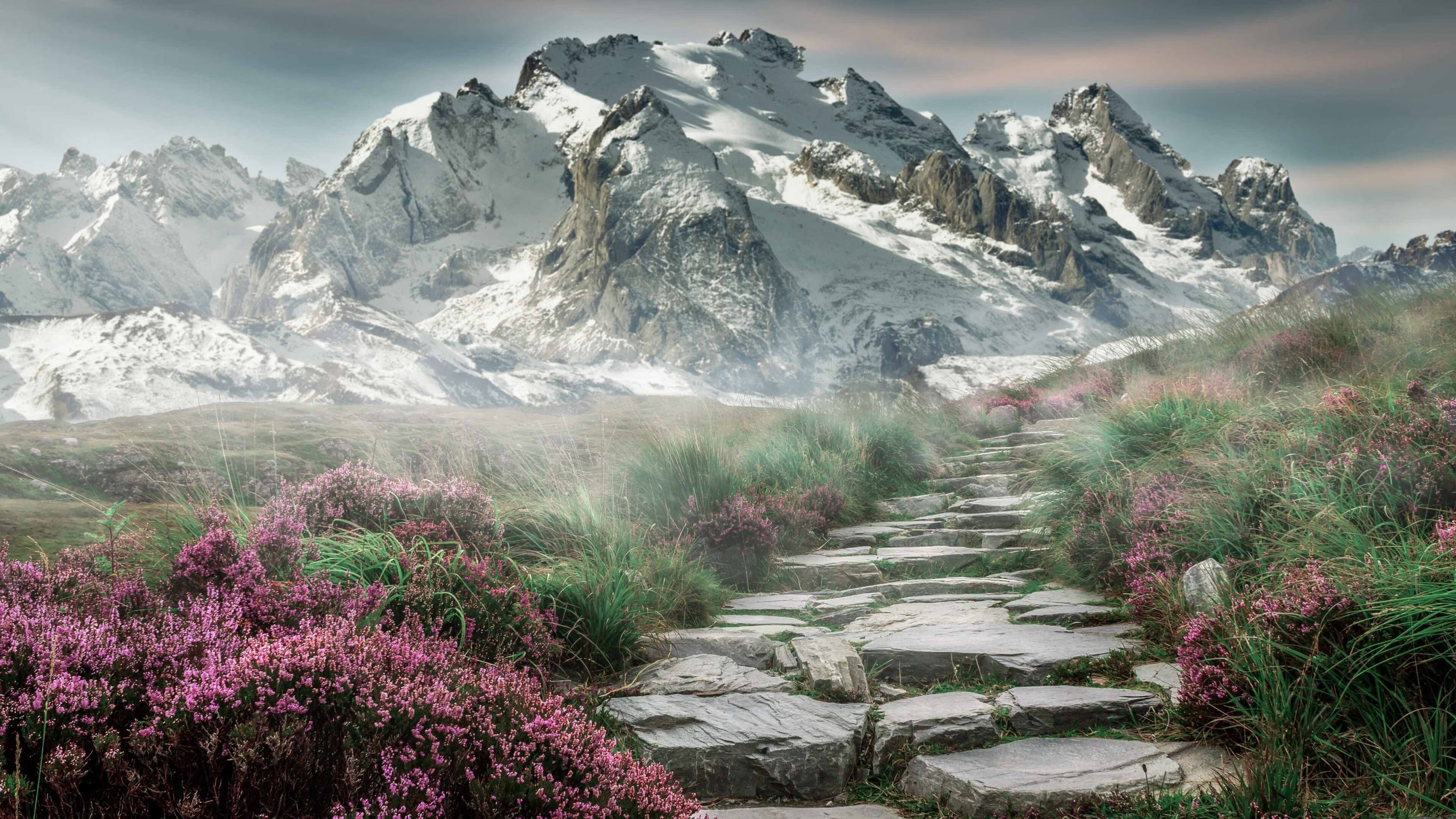 kaiyun开云·官方网站-控球球员是否应承担节奏切换的责任主导，球员控制球