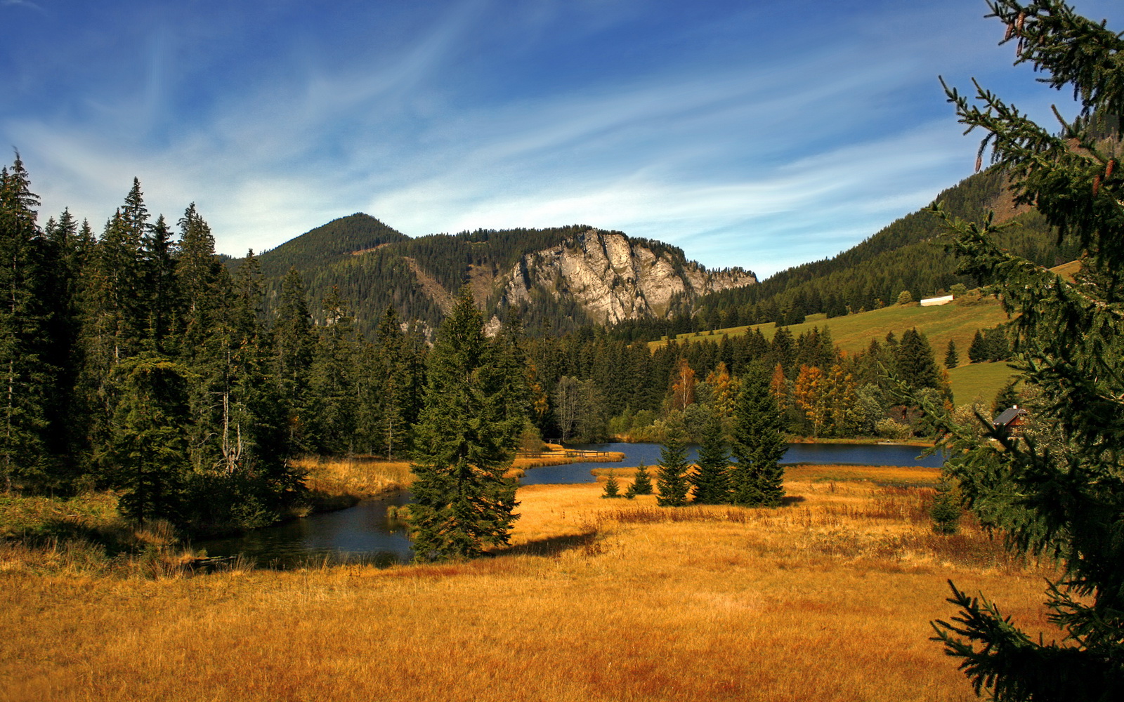开运app入口-跳水技术提升比利时得分稳定，跳水比分播报